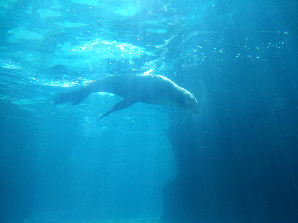 一伊在做PPT的個(gè)人主頁（封面預(yù)覽） - 主頁封面設(shè)置 - 站酷設(shè)計(jì)師一伊在做PPT原創(chuàng)素材 - 站酷ZCOOL