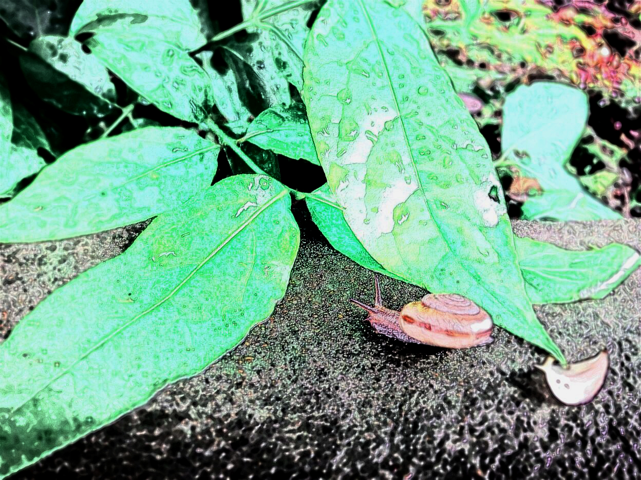 YUZIYUZI的個(gè)人主頁(yè)（封面預(yù)覽） - 主頁(yè)封面設(shè)置 - 站酷設(shè)計(jì)師YUZIYUZI原創(chuàng)素材 - 站酷ZCOOL