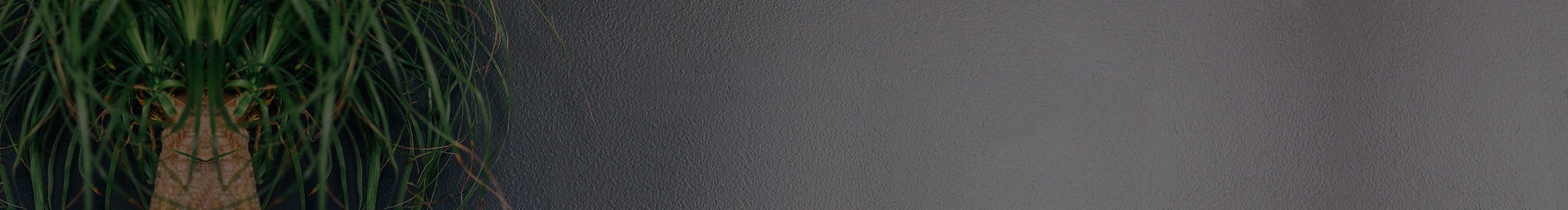 嬌娃娃妹妹的個(gè)人主頁（封面預(yù)覽） - 主頁封面設(shè)置 - 站酷設(shè)計(jì)師嬌娃娃妹妹原創(chuàng)素材 - 站酷ZCOOL