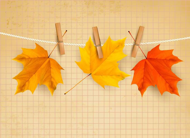 素心i的个人主页（封面预览） - 主页封面设置 - 站酷设计师素心i原创素材 - 站酷ZCOOL