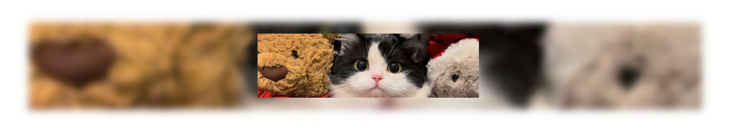 是姚小美的個(gè)人主頁(yè)（封面預(yù)覽） - 主頁(yè)封面設(shè)置 - 站酷設(shè)計(jì)師是姚小美原創(chuàng)素材 - 站酷ZCOOL