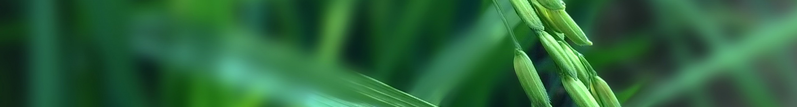 CheerChen5的個人主頁（封面預(yù)覽） - 主頁封面設(shè)置 - 站酷設(shè)計師CheerChen5原創(chuàng)素材 - 站酷ZCOOL