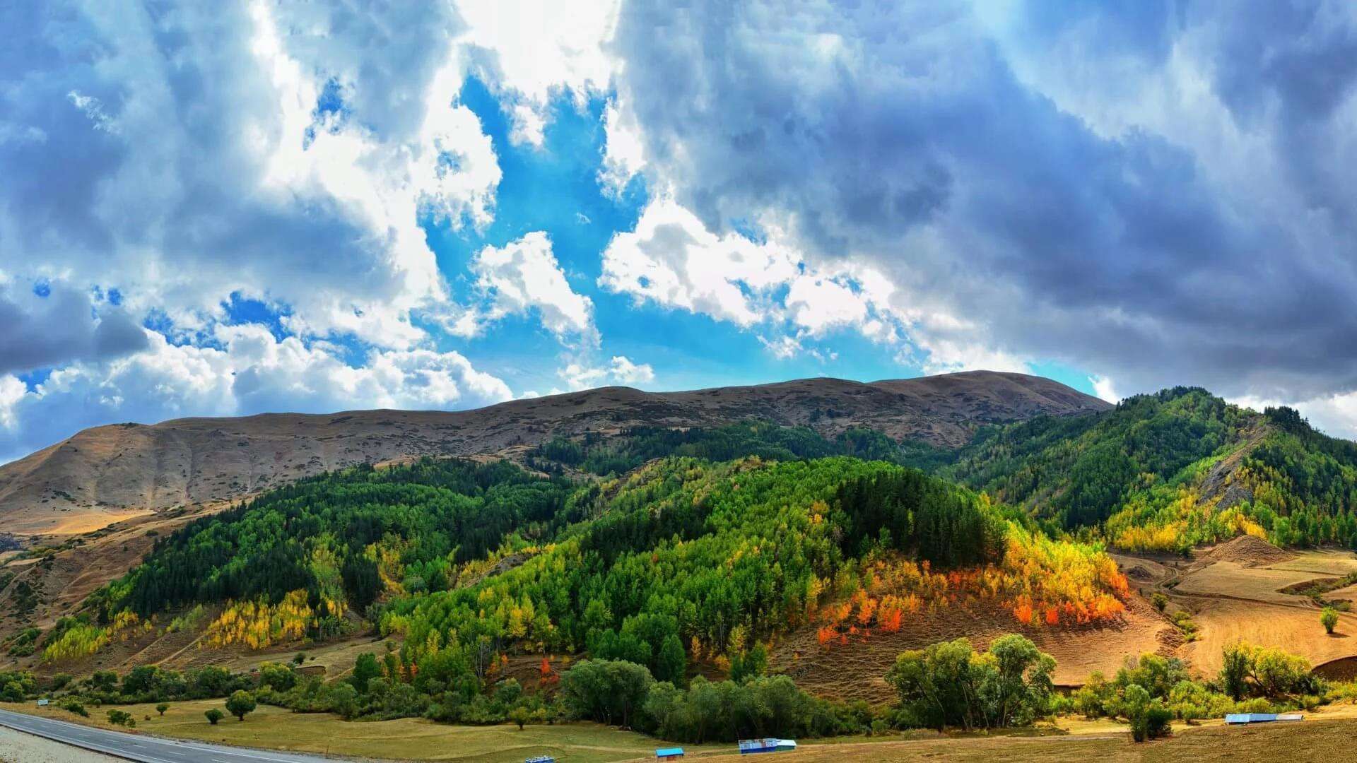 夏洛TT的個(gè)人主頁(yè)（封面預(yù)覽） - 主頁(yè)封面設(shè)置 - 站酷設(shè)計(jì)師夏洛TT原創(chuàng)素材 - 站酷ZCOOL