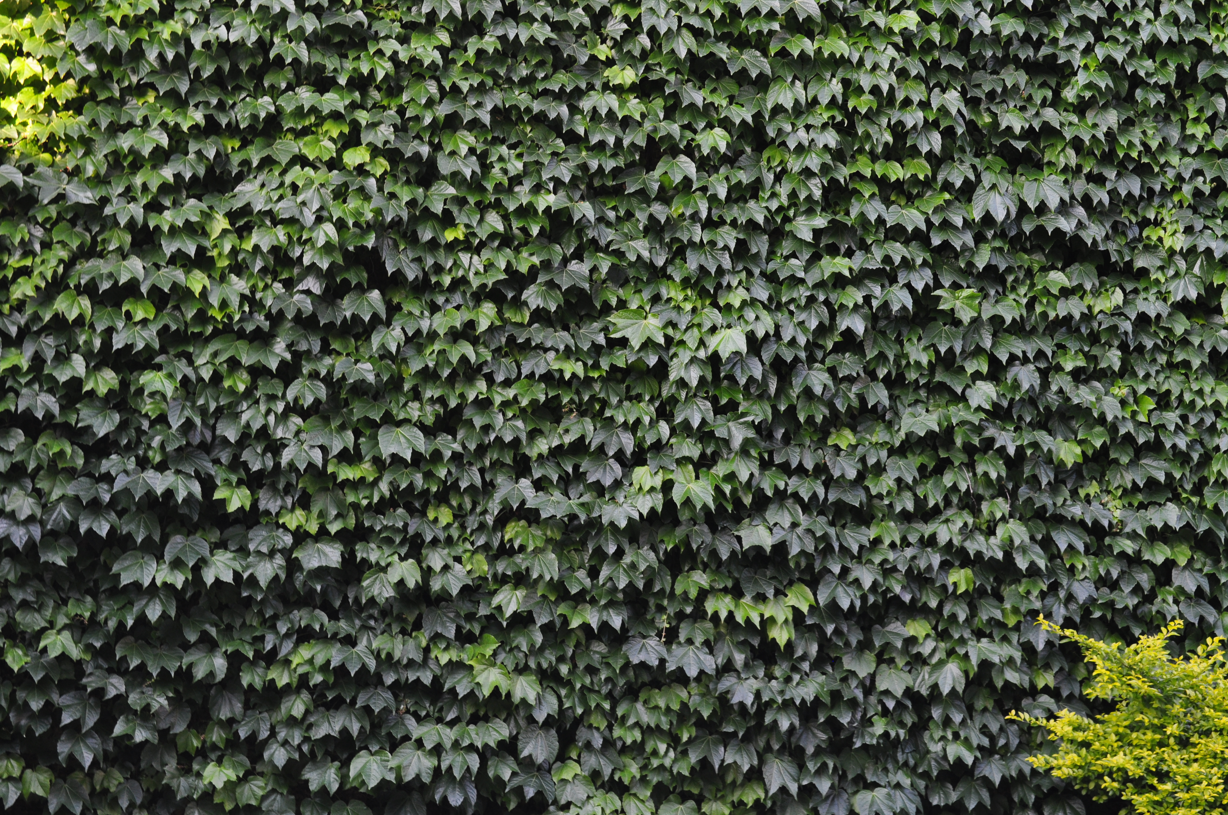 MODO喵的个人主页（封面预览） - 主页封面设置 - 站酷设计师MODO喵原创素材 - 站酷ZCOOL