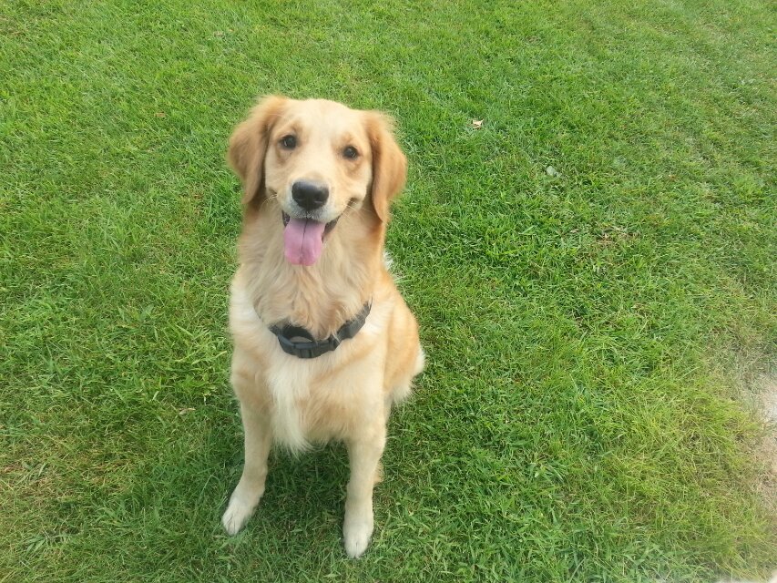 可可露的個人主頁（封面預(yù)覽） - 主頁封面設(shè)置 - 站酷設(shè)計師可可露原創(chuàng)素材 - 站酷ZCOOL