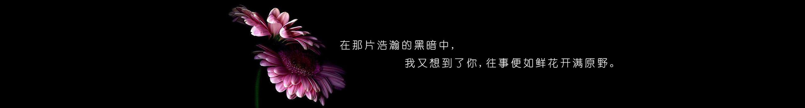 电商UI张疯子的个人主页（封面预览） - 主页封面设置 - 站酷设计师电商UI张疯子原创素材 - 站酷ZCOOL