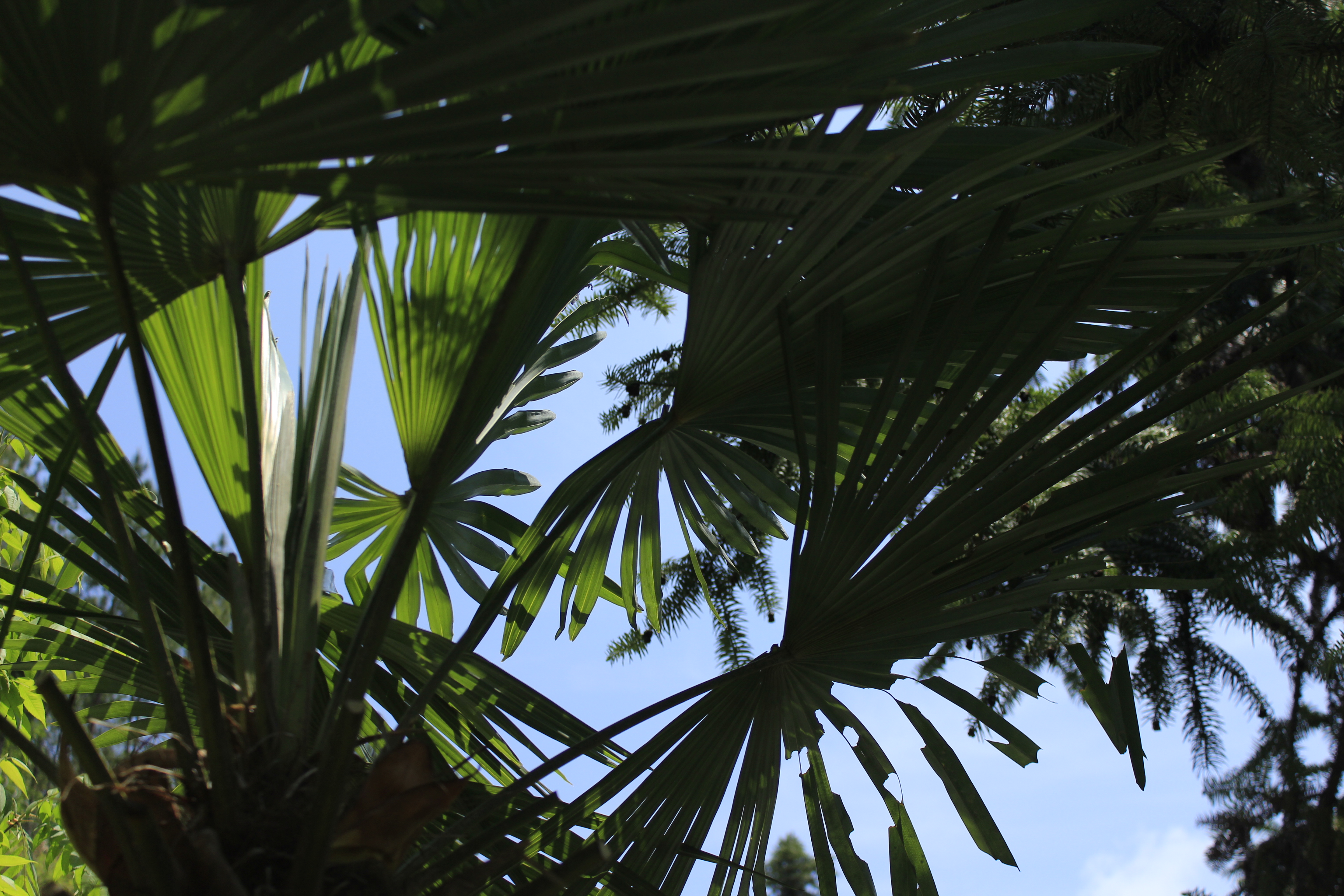 颜鸿玲的个人主页（封面预览） - 主页封面设置 - 站酷设计师颜鸿玲原创素材 - 站酷ZCOOL
