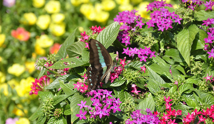 Leedissa的个人主页（封面预览） - 主页封面设置 - 站酷设计师Leedissa原创素材 - 站酷ZCOOL