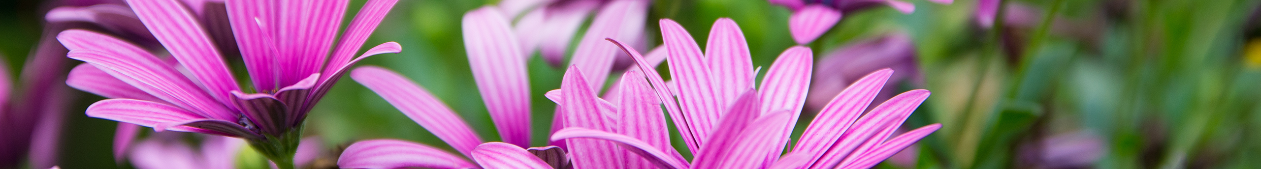 摄影小队长的个人主页（封面预览） - 主页封面设置 - 站酷设计师摄影小队长原创素材 - 站酷ZCOOL