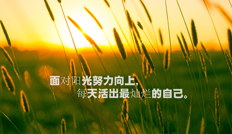 Ms_高的个人主页（封面预览） - 主页封面设置 - 站酷设计师Ms_高原创素材 - 站酷ZCOOL