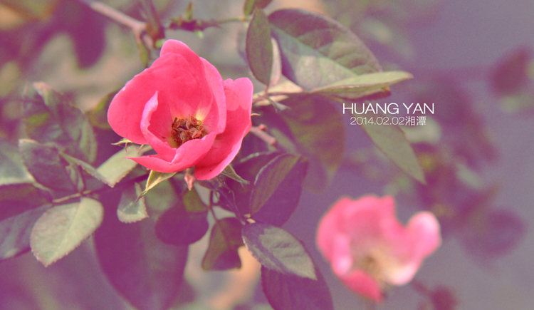 huangyan52406的个人主页（封面预览） - 主页封面设置 - 站酷设计师huangyan52406原创素材 - 站酷ZCOOL