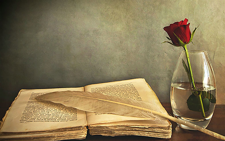 南方姑娘北方梦的个人主页（封面预览） - 主页封面设置 - 站酷设计师南方姑娘北方梦原创素材 - 站酷ZCOOL