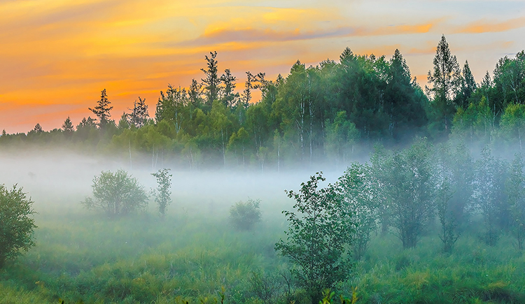 红好Howie的个人主页（封面预览） - 主页封面设置 - 站酷设计师红好Howie原创素材 - 站酷ZCOOL