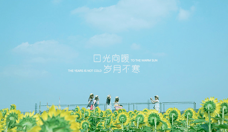 夏天天Summer的个人主页（封面预览） - 主页封面设置 - 站酷设计师夏天天Summer原创素材 - 站酷ZCOOL