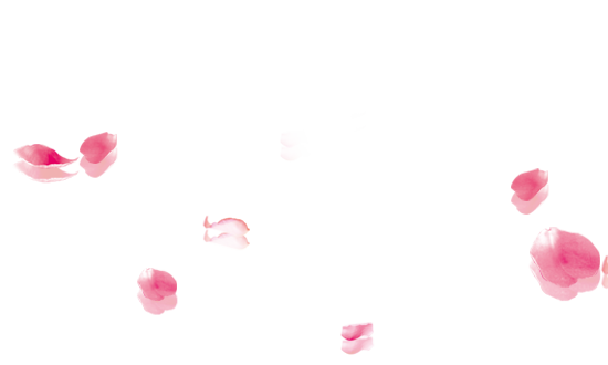 落葉聽(tīng)松的個(gè)人主頁(yè)（封面預(yù)覽） - 主頁(yè)封面設(shè)置 - 站酷設(shè)計(jì)師落葉聽(tīng)松原創(chuàng)素材 - 站酷ZCOOL