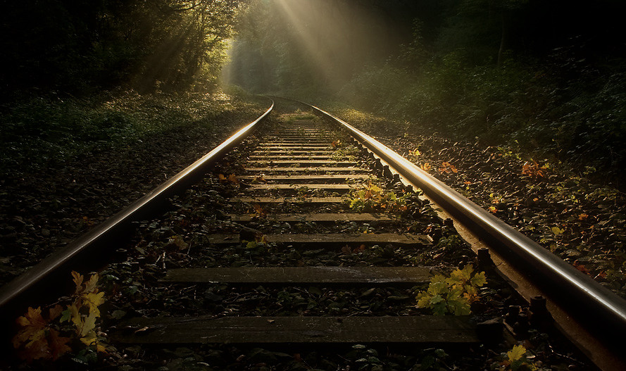 单眼皮李的个人主页（封面预览） - 主页封面设置 - 站酷设计师单眼皮李原创素材 - 站酷ZCOOL