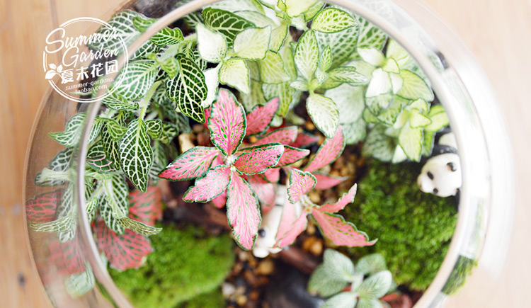 zxsummer的个人主页（封面预览） - 主页封面设置 - 站酷设计师zxsummer原创素材 - 站酷ZCOOL