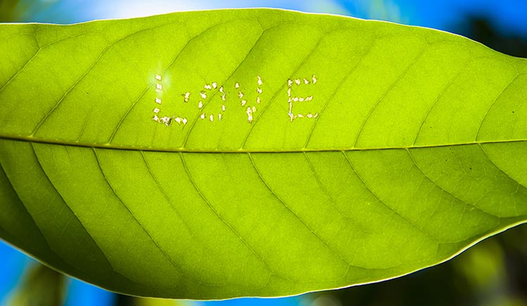 siyue1028的个人主页（封面预览） - 主页封面设置 - 站酷设计师siyue1028原创素材 - 站酷ZCOOL