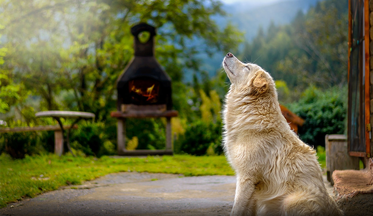 甜橙133的个人主页（封面预览） - 主页封面设置 - 站酷设计师甜橙133原创素材 - 站酷ZCOOL