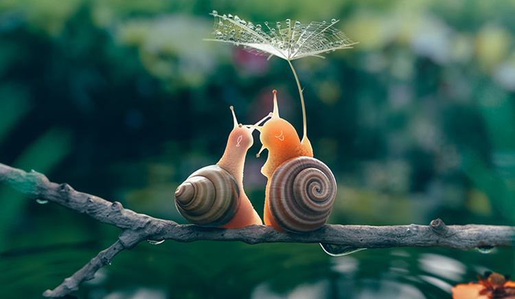 放牛的鱼的个人主页（封面预览） - 主页封面设置 - 站酷设计师放牛的鱼原创素材 - 站酷ZCOOL