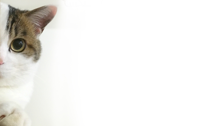 普通春春的個人主頁（封面預(yù)覽） - 主頁封面設(shè)置 - 站酷設(shè)計師普通春春原創(chuàng)素材 - 站酷ZCOOL