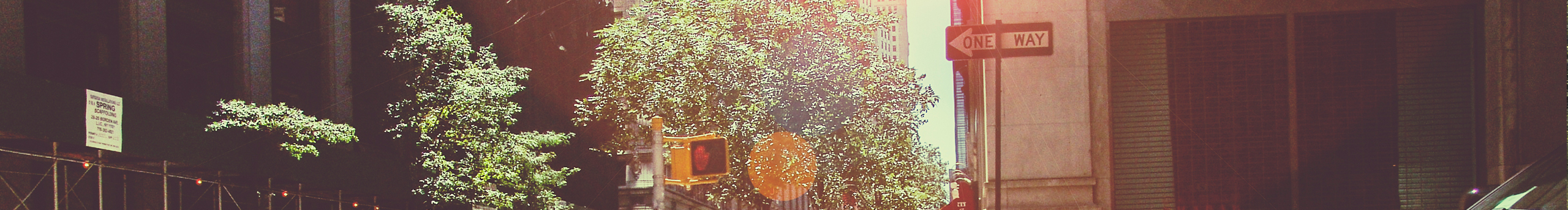 呆兔頭的個人主頁（封面預(yù)覽） - 主頁封面設(shè)置 - 站酷設(shè)計師呆兔頭原創(chuàng)素材 - 站酷ZCOOL