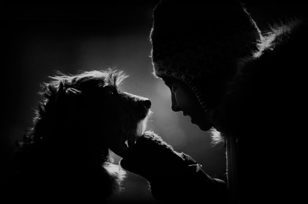 影山小茂的個人主頁（封面預(yù)覽） - 主頁封面設(shè)置 - 站酷設(shè)計師影山小茂原創(chuàng)素材 - 站酷ZCOOL