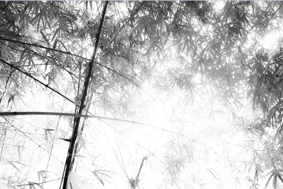 林指纹的个人主页（封面预览） - 主页封面设置 - 站酷设计师林指纹原创素材 - 站酷ZCOOL