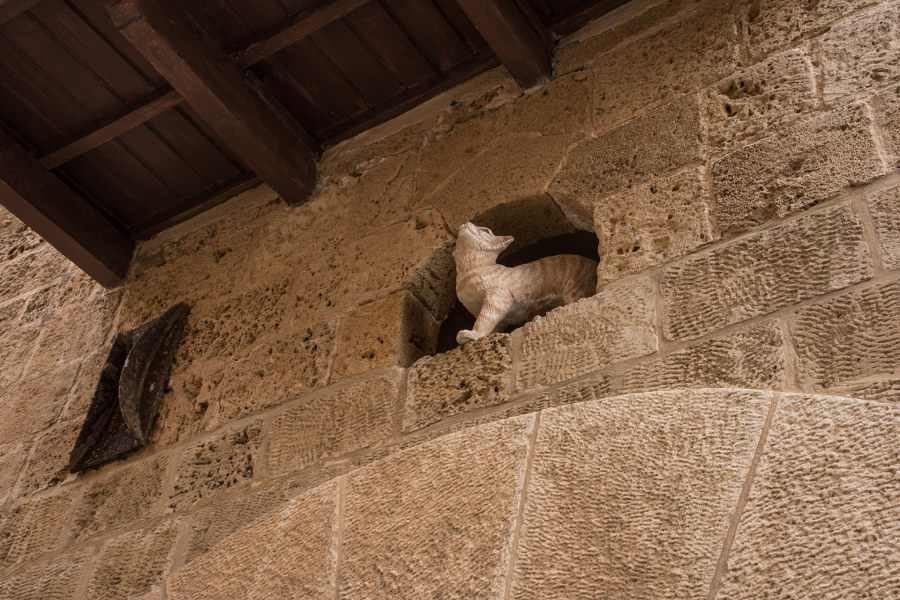 Lyh8的個(gè)人主頁（封面預(yù)覽） - 主頁封面設(shè)置 - 站酷設(shè)計(jì)師Lyh8原創(chuàng)素材 - 站酷ZCOOL