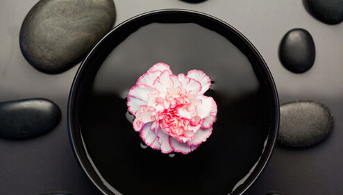 美是一種境界的個(gè)人主頁(yè)（封面預(yù)覽） - 主頁(yè)封面設(shè)置 - 站酷設(shè)計(jì)師美是一種境界原創(chuàng)素材 - 站酷ZCOOL