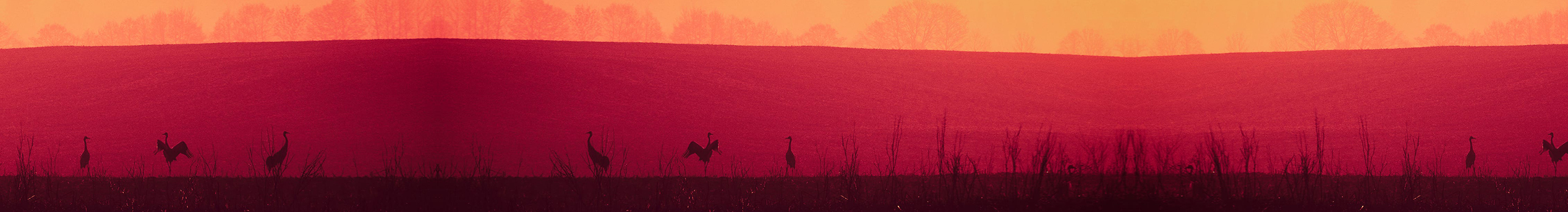AndersonLin的個(gè)人主頁（封面預(yù)覽） - 主頁封面設(shè)置 - 站酷設(shè)計(jì)師AndersonLin原創(chuàng)素材 - 站酷ZCOOL