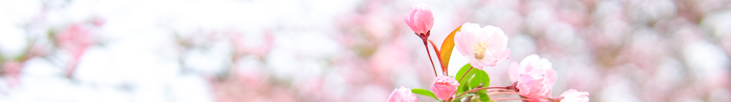 愛吃面包的貓的個(gè)人主頁（封面預(yù)覽） - 主頁封面設(shè)置 - 站酷設(shè)計(jì)師愛吃面包的貓?jiān)瓌?chuàng)素材 - 站酷ZCOOL