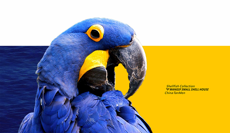 chinatm修螺者的个人主页（封面预览） - 主页封面设置 - 站酷设计师chinatm修螺者原创素材 - 站酷ZCOOL