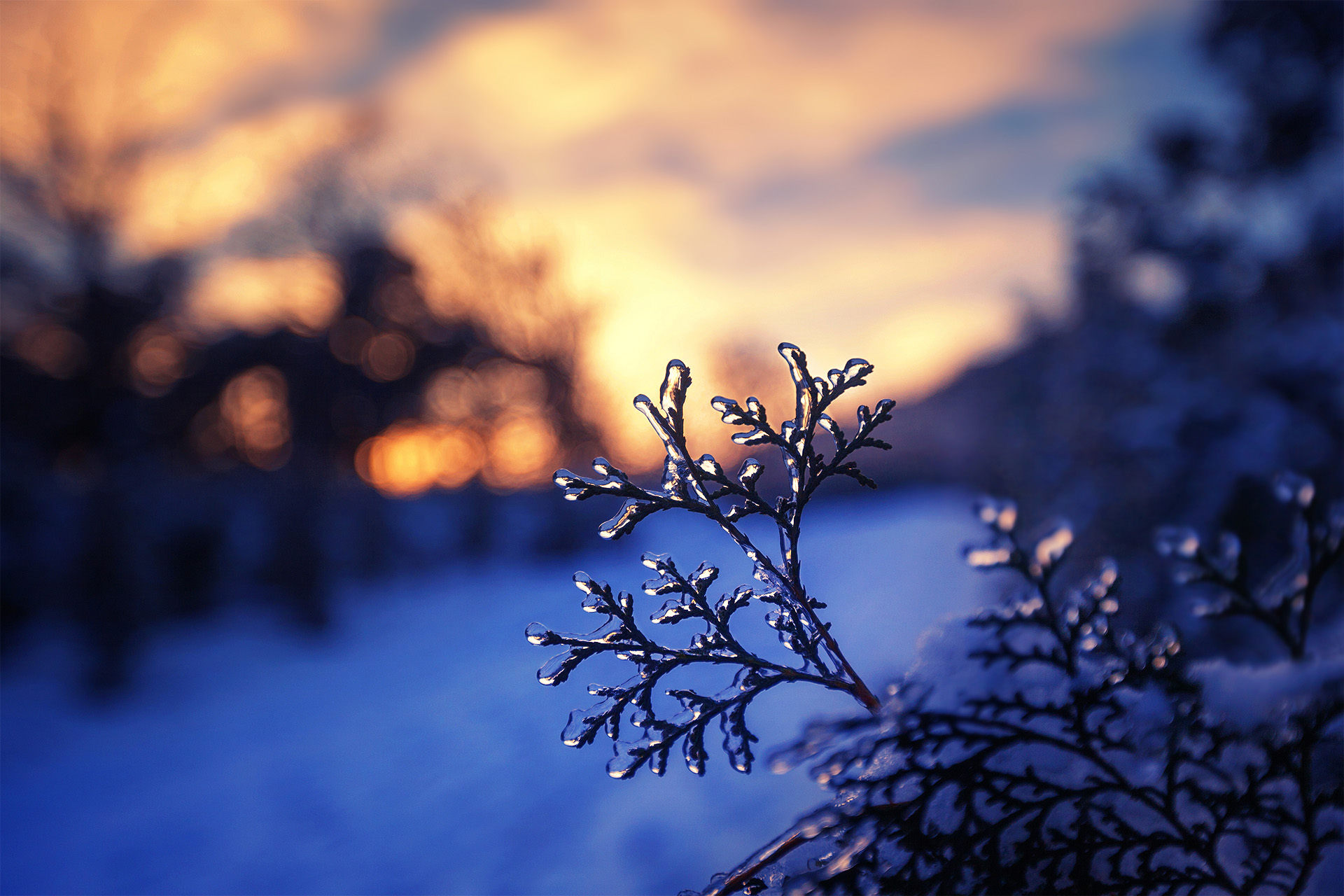 郝嵘的个人主页（封面预览） - 主页封面设置 - 站酷设计师郝嵘原创素材 - 站酷ZCOOL