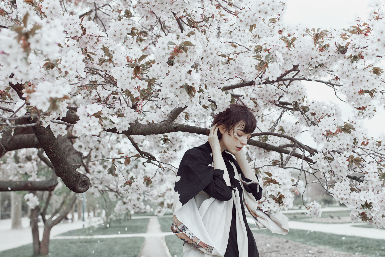 喵雨田的个人主页（封面预览） - 主页封面设置 - 站酷设计师喵雨田原创素材 - 站酷ZCOOL