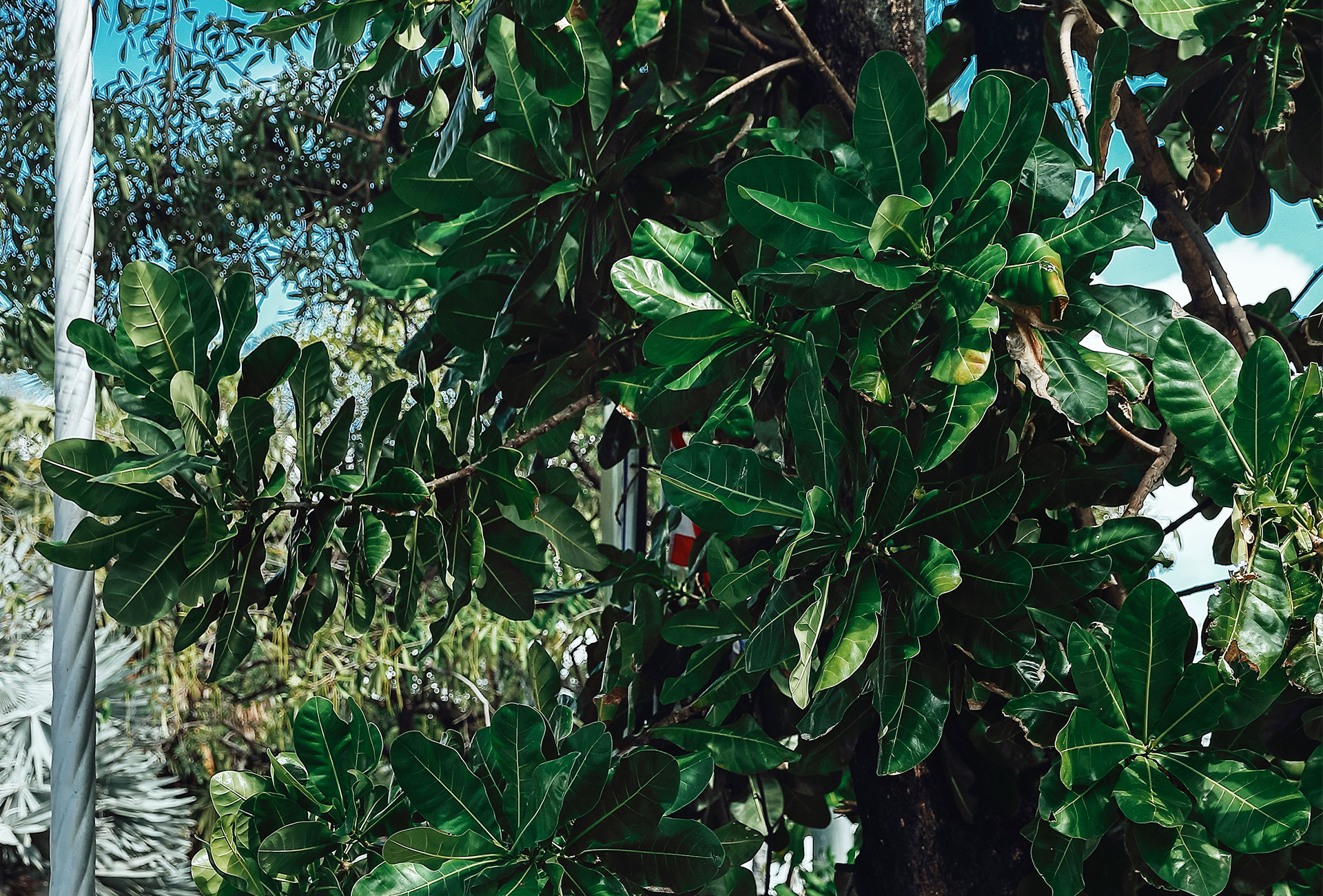 都是迷路的人的個(gè)人主頁(yè)（封面預(yù)覽） - 主頁(yè)封面設(shè)置 - 站酷設(shè)計(jì)師都是迷路的人原創(chuàng)素材 - 站酷ZCOOL