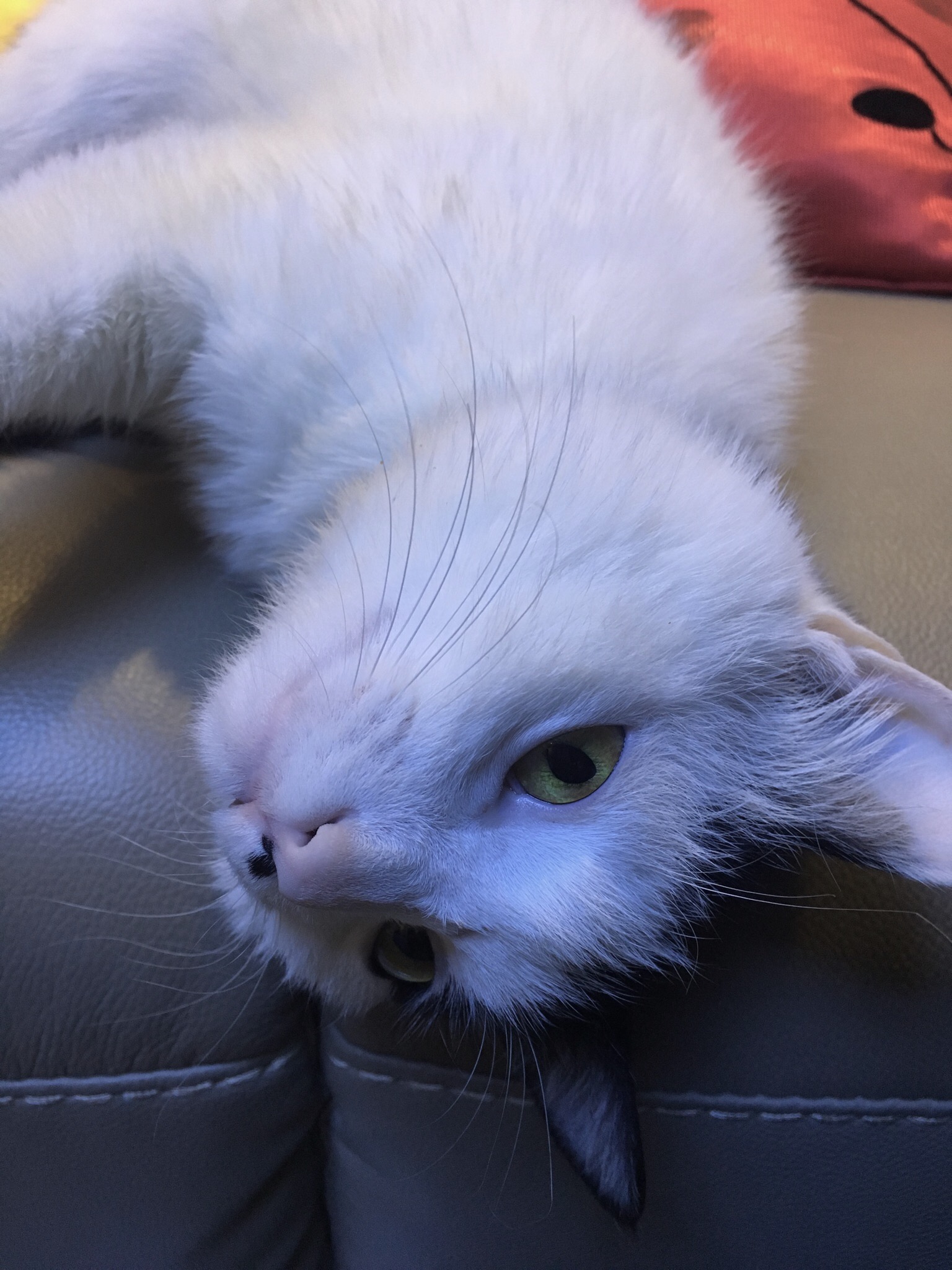 llnlnn的个人主页（封面预览） - 主页封面设置 - 站酷设计师llnlnn原创素材 - 站酷ZCOOL