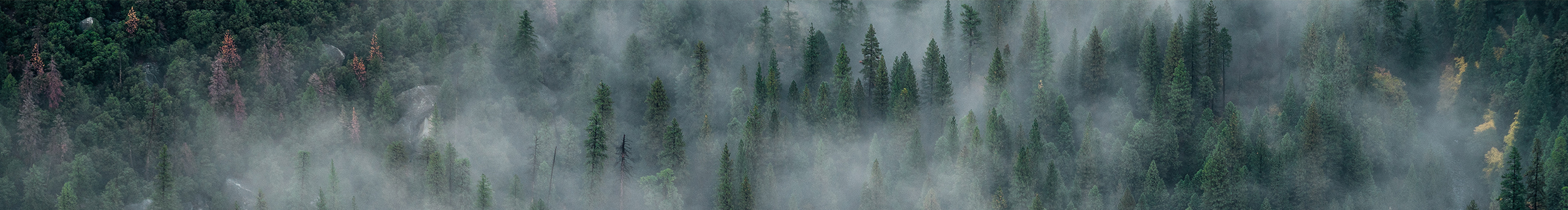 苗条的瘦子的个人主页（封面预览） - 主页封面设置 - 站酷设计师苗条的瘦子原创素材 - 站酷ZCOOL