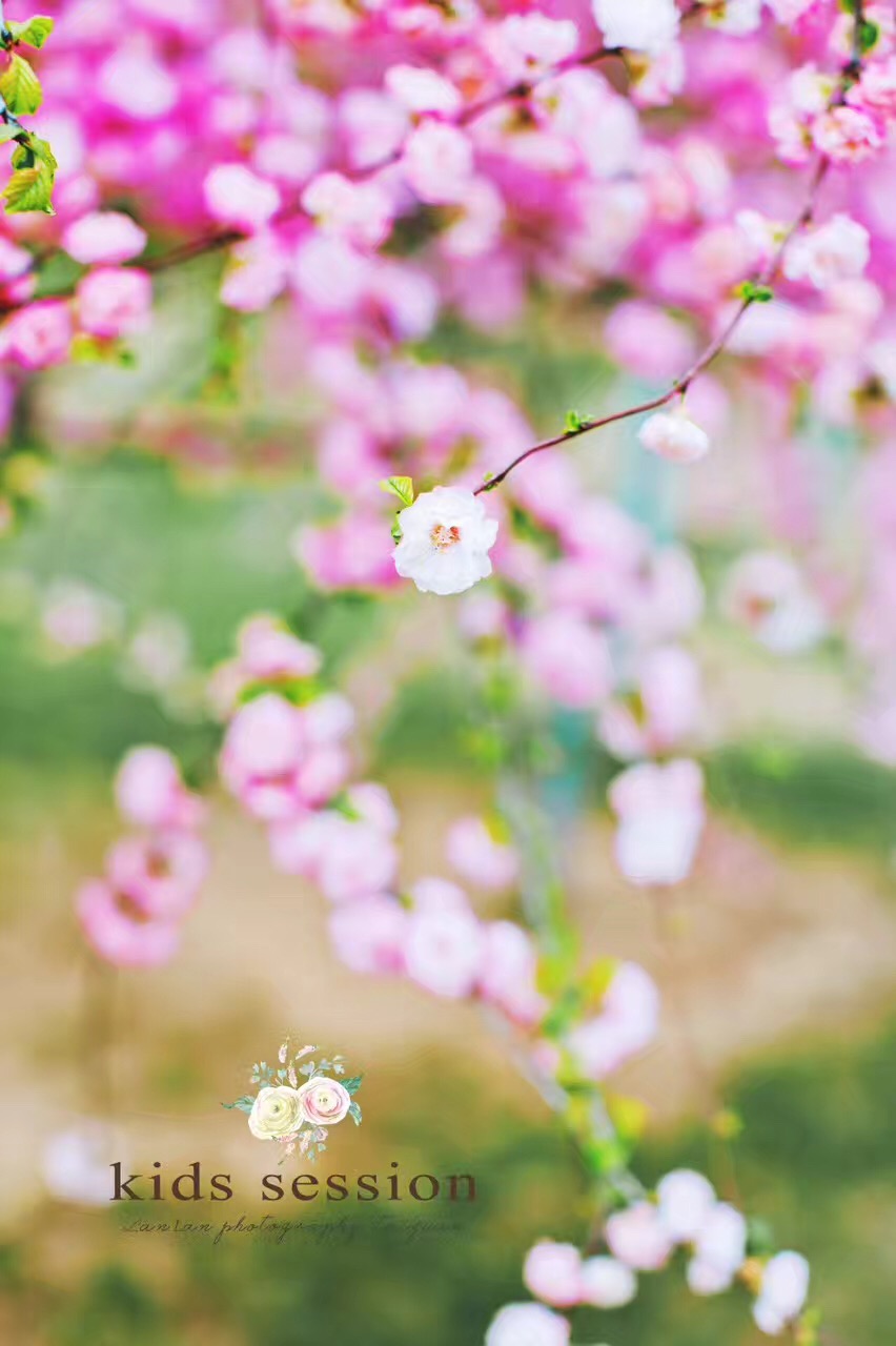 航海家董毛毛的個(gè)人主頁(yè)（封面預(yù)覽） - 主頁(yè)封面設(shè)置 - 站酷設(shè)計(jì)師航海家董毛毛原創(chuàng)素材 - 站酷ZCOOL