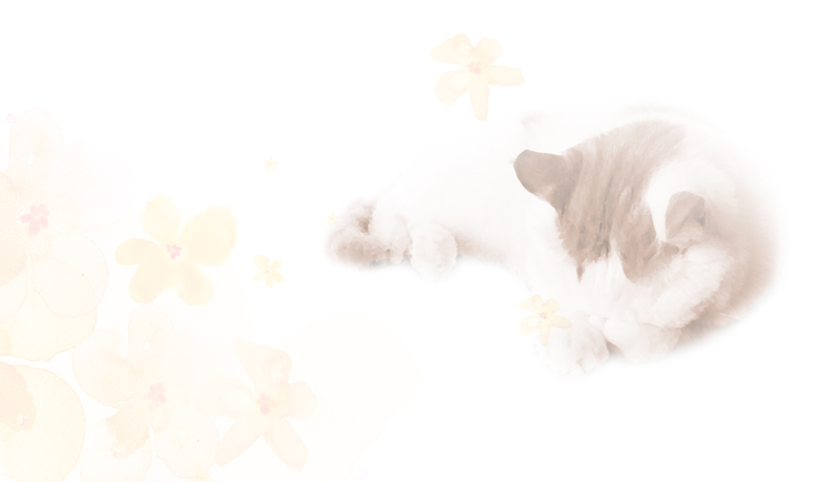 可可栗子的个人主页（封面预览） - 主页封面设置 - 站酷设计师可可栗子原创素材 - 站酷ZCOOL