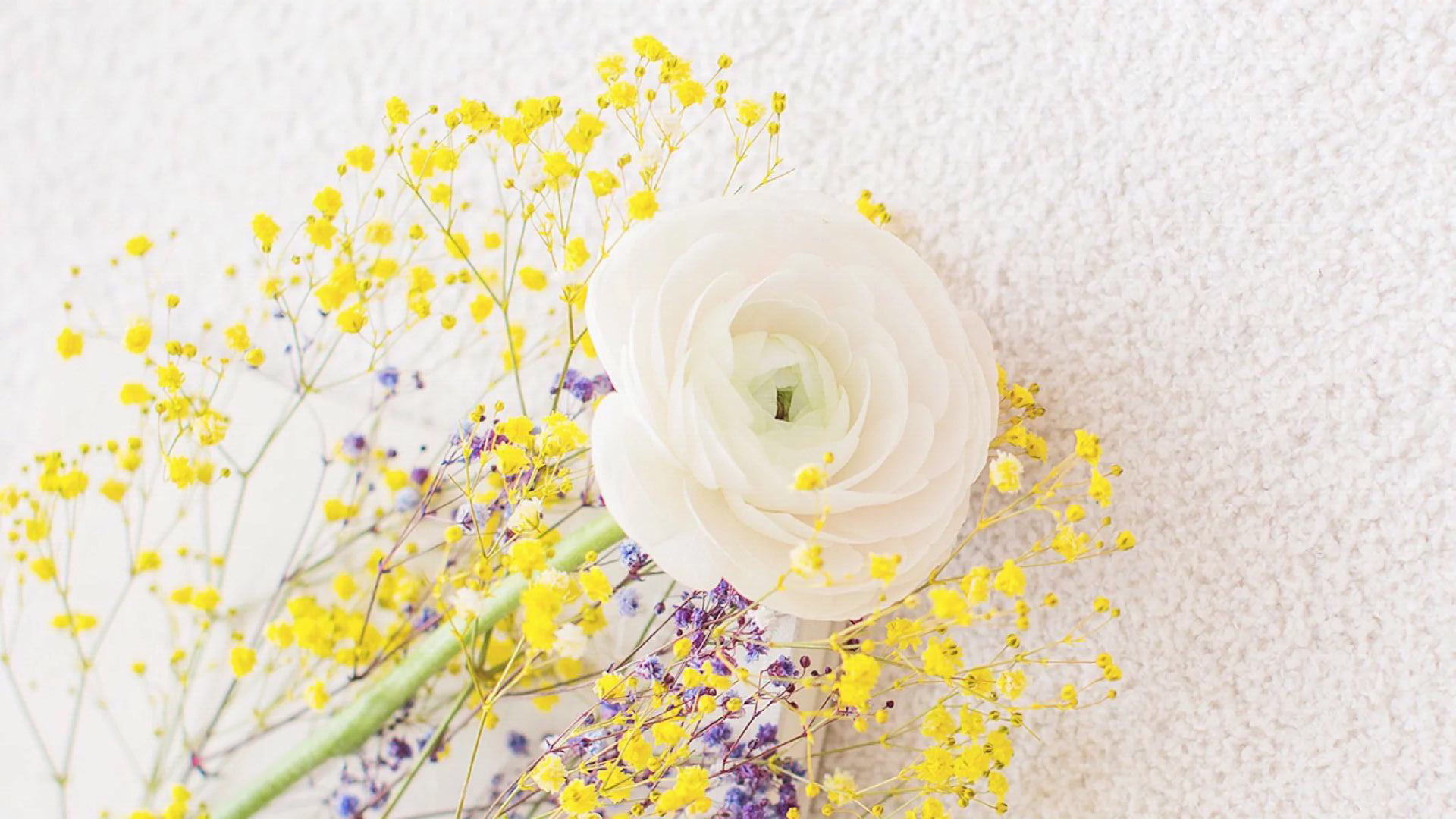 海不會不藍(lán)0907的個人主頁（封面預(yù)覽） - 主頁封面設(shè)置 - 站酷設(shè)計師海不會不藍(lán)0907原創(chuàng)素材 - 站酷ZCOOL