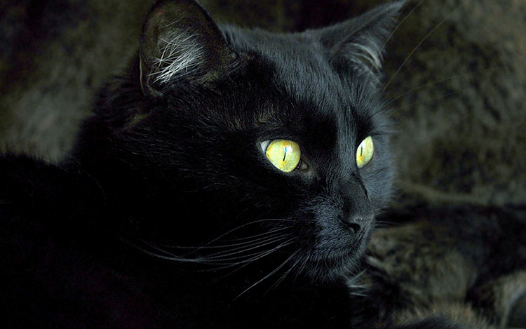 隨波奔流的個(gè)人主頁（封面預(yù)覽） - 主頁封面設(shè)置 - 站酷設(shè)計(jì)師隨波奔流原創(chuàng)素材 - 站酷ZCOOL