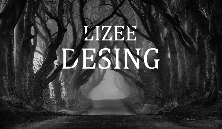 Lizee的个人主页（封面预览） - 主页封面设置 - 站酷设计师Lizee原创素材 - 站酷ZCOOL
