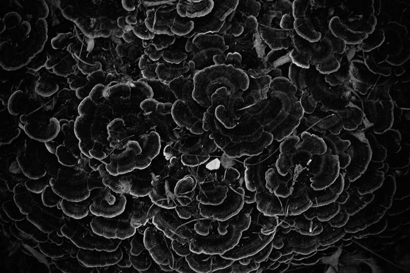 一隅山味的个人主页（封面预览） - 主页封面设置 - 站酷设计师一隅山味原创素材 - 站酷ZCOOL