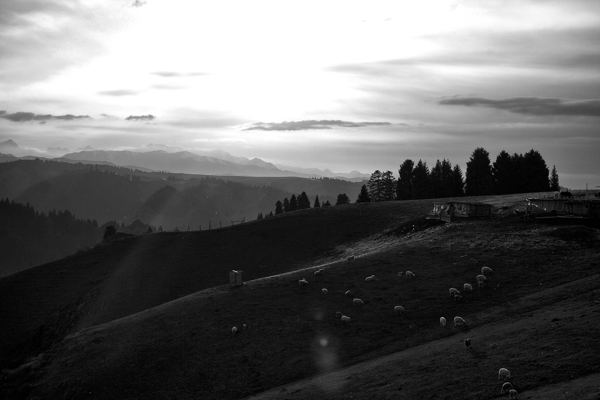 图夫85的个人主页（封面预览） - 主页封面设置 - 站酷设计师图夫85原创素材 - 站酷ZCOOL