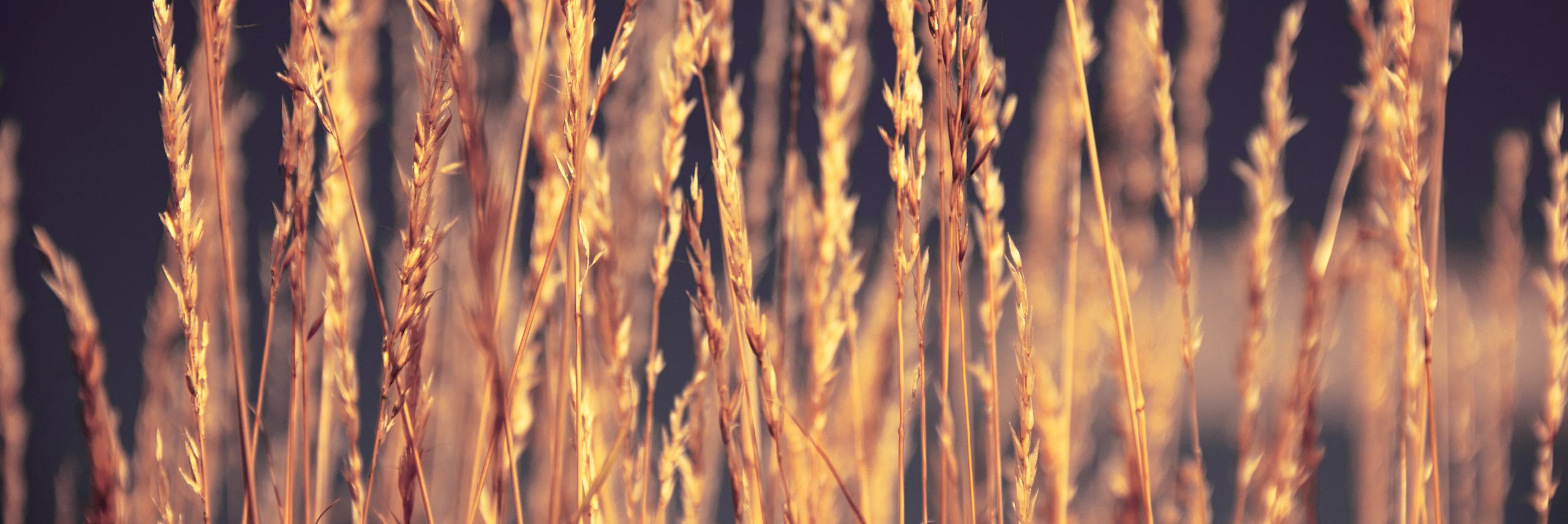 Lankadec的個(gè)人主頁（封面預(yù)覽） - 主頁封面設(shè)置 - 站酷設(shè)計(jì)師Lankadec原創(chuàng)素材 - 站酷ZCOOL