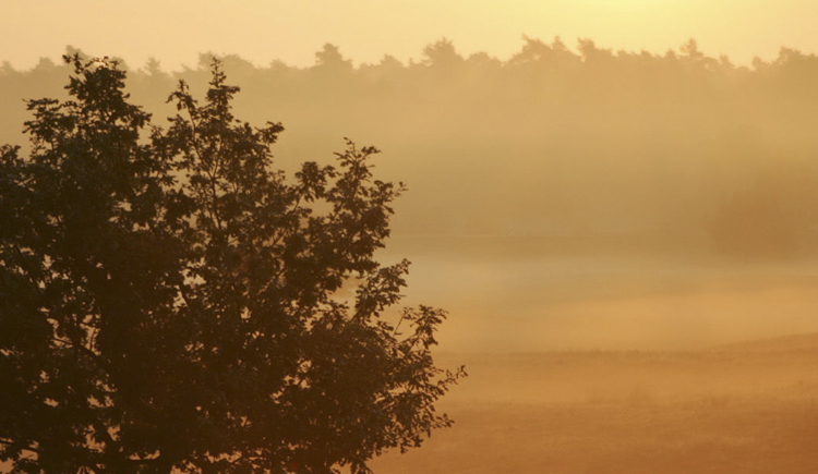 jwlcindy的個人主頁（封面預(yù)覽） - 主頁封面設(shè)置 - 站酷設(shè)計師jwlcindy原創(chuàng)素材 - 站酷ZCOOL