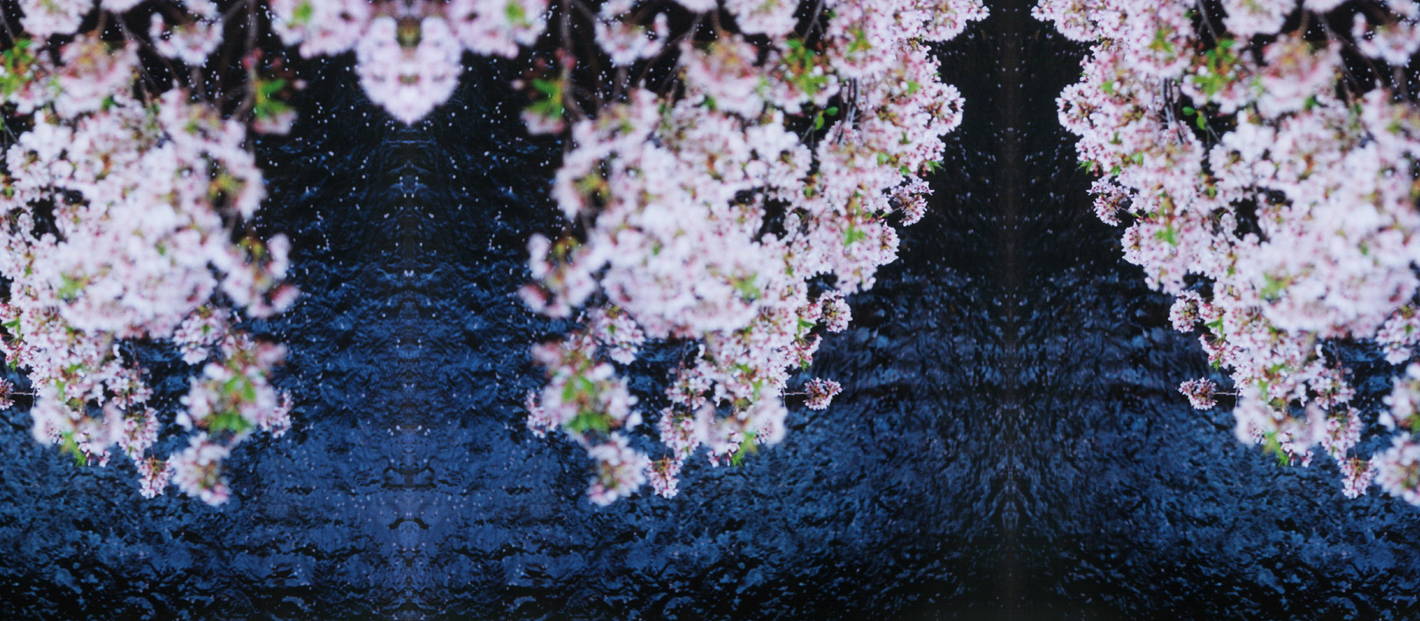 钟泽栩的个人主页（封面预览） - 主页封面设置 - 站酷设计师钟泽栩原创素材 - 站酷ZCOOL