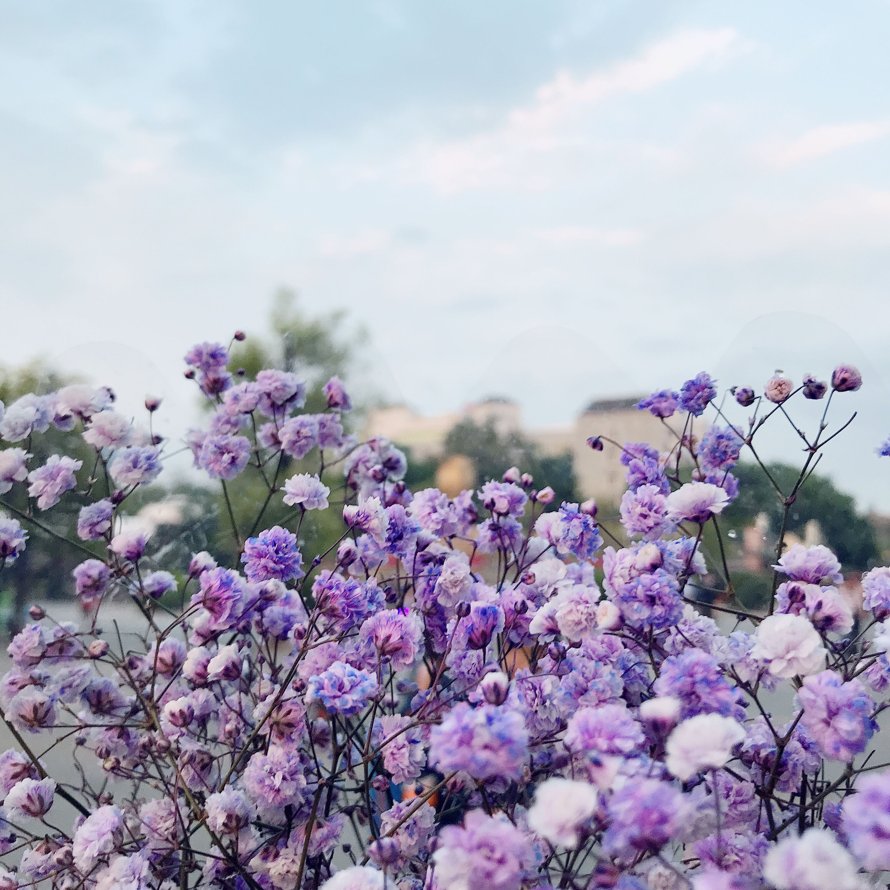 木子李李_的个人主页（封面预览） - 主页封面设置 - 站酷设计师木子李李_原创素材 - 站酷ZCOOL