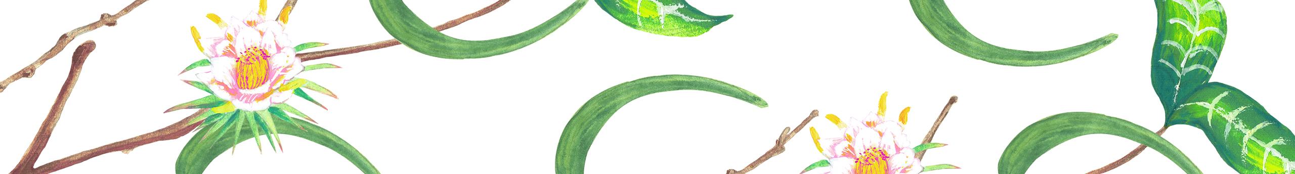 張雅晴女士的個人主頁（封面預(yù)覽） - 主頁封面設(shè)置 - 站酷設(shè)計師張雅晴女士原創(chuàng)素材 - 站酷ZCOOL